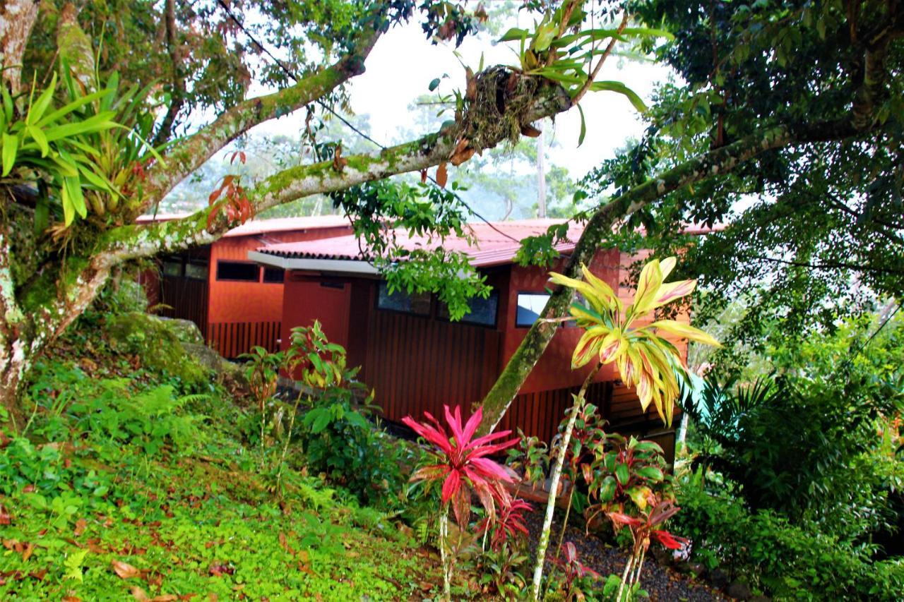 迦太基Casitas Eco Bambu别墅 外观 照片