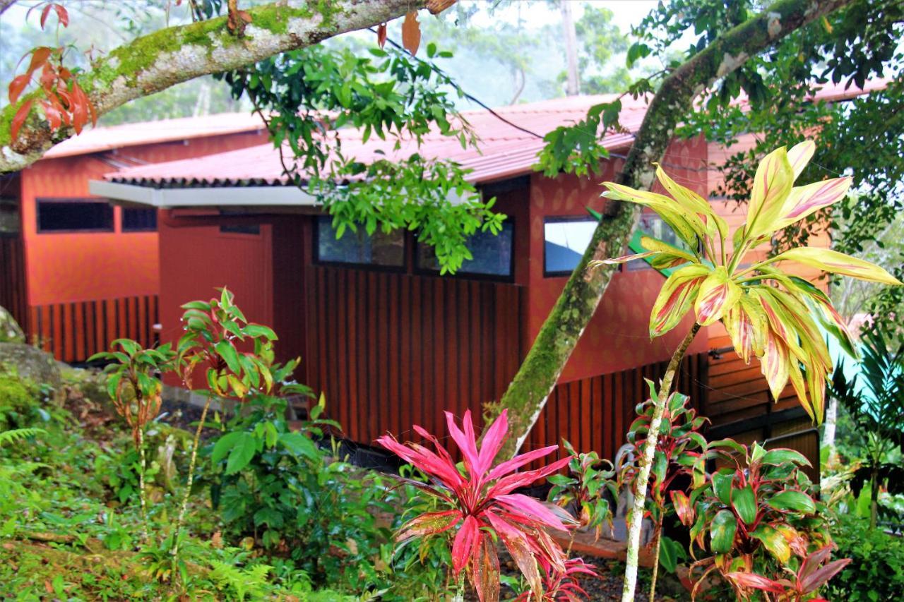 迦太基Casitas Eco Bambu别墅 外观 照片
